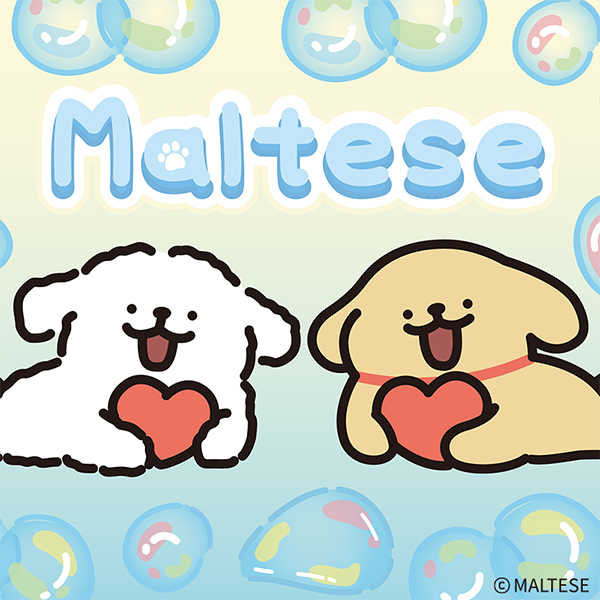 Maltese