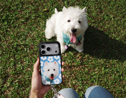 Accessory highlight 1