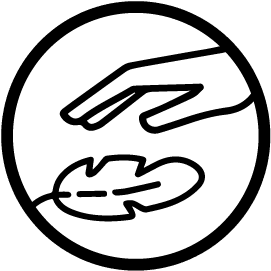 icon image