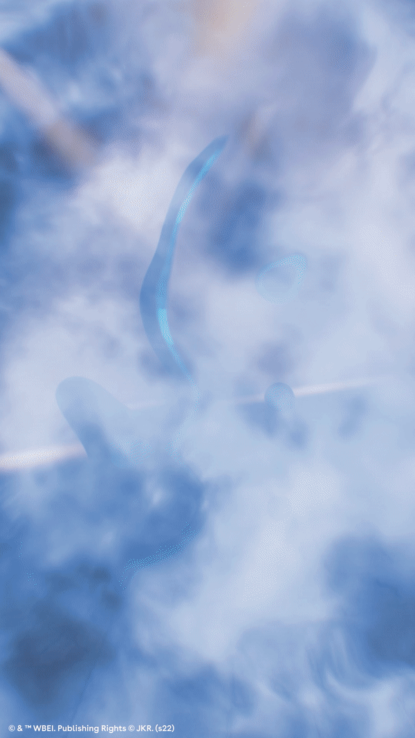bannder image