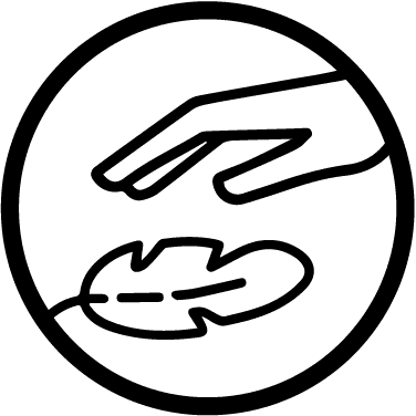 icon image