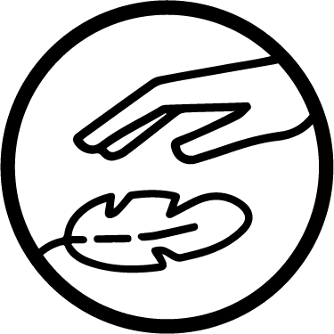 icon image