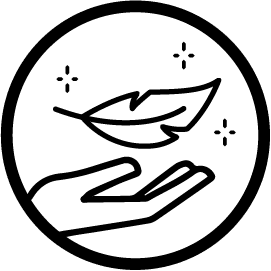 icon image